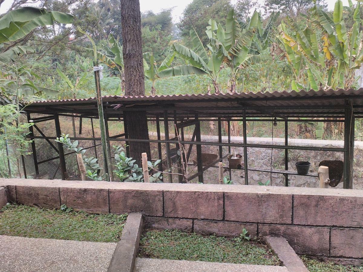 Nabila Syar'i Guest House Padalarang Extérieur photo